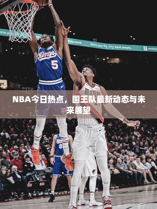 NBA今日热点，国王队最新动态与未来展望