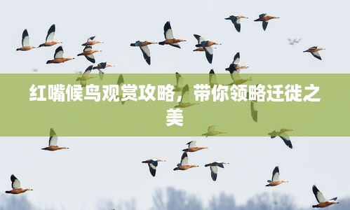 2025年6月3日 第2页