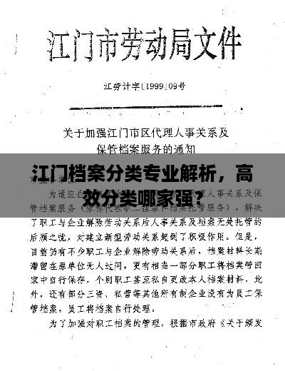 江门档案分类专业解析，高效分类哪家强？