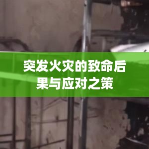 突发火灾的致命后果与应对之策