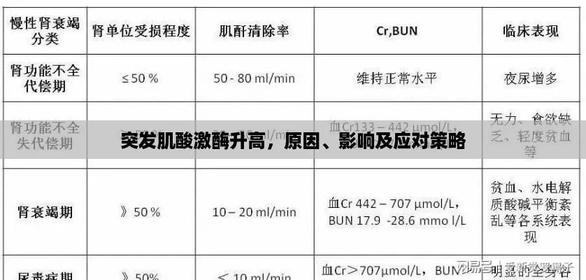 见缝就钻