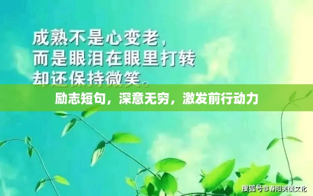 萍水相逢