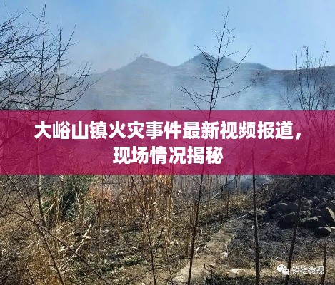大峪山镇火灾事件最新视频报道，现场情况揭秘