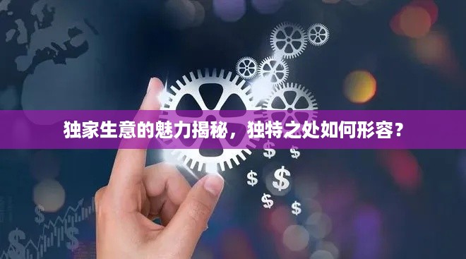 独家生意的魅力揭秘，独特之处如何形容？
