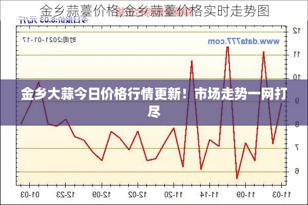 金乡大蒜今日价格行情更新！市场走势一网打尽