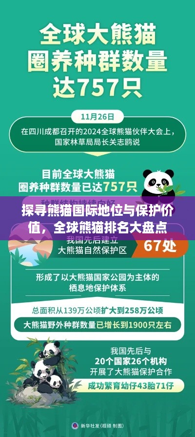 探寻熊猫国际地位与保护价值，全球熊猫排名大盘点