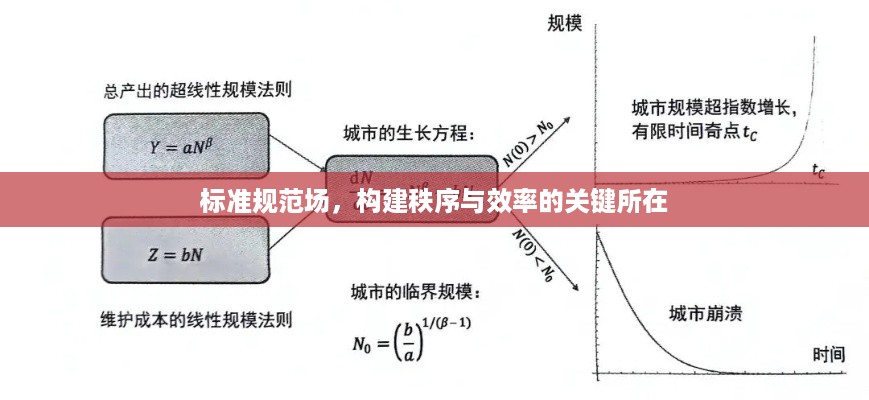 标准规范场，构建秩序与效率的关键所在
