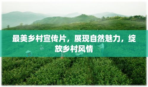 最美乡村宣传片，展现自然魅力，绽放乡村风情