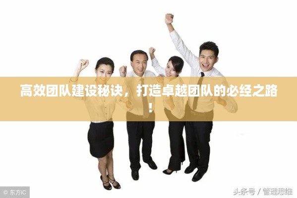 高效团队建设秘诀，打造卓越团队的必经之路！