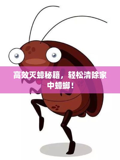 高效灭蟑秘籍，轻松清除家中蟑螂！