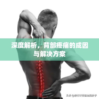 深度解析，背部疼痛的成因与解决方案
