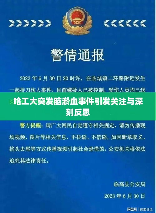 哈工大突发脑淤血事件引发关注与深刻反思