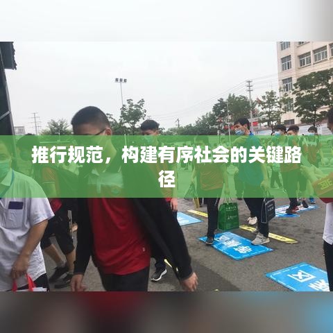 推行规范，构建有序社会的关键路径
