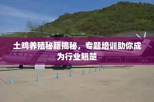 土鸡养殖秘籍揭秘，专题培训助你成为行业翘楚