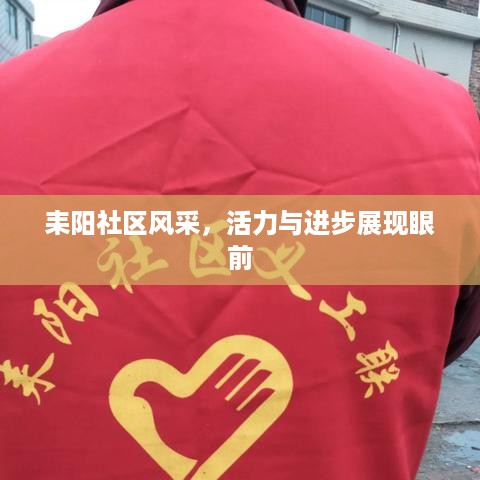 耒阳社区风采，活力与进步展现眼前