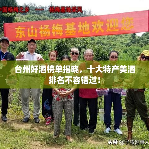 台州好酒榜单揭晓，十大特产美酒排名不容错过！