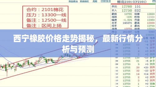 西宁橡胶价格走势揭秘，最新行情分析与预测