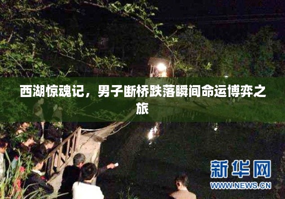 西湖惊魂记，男子断桥跌落瞬间命运博弈之旅