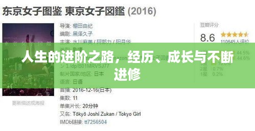 人生的进阶之路，经历、成长与不断进修