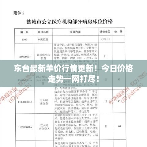 东台最新羊价行情更新！今日价格走势一网打尽！