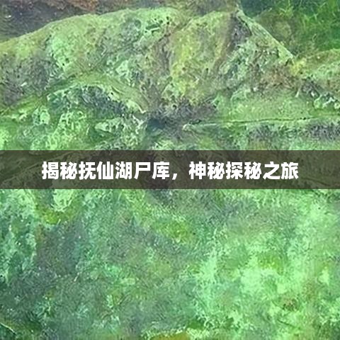 2025年6月8日 第3页
