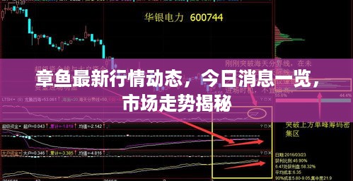 2025年6月9日 第6页