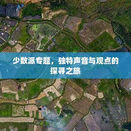 少数派专题，独特声音与观点的探寻之旅