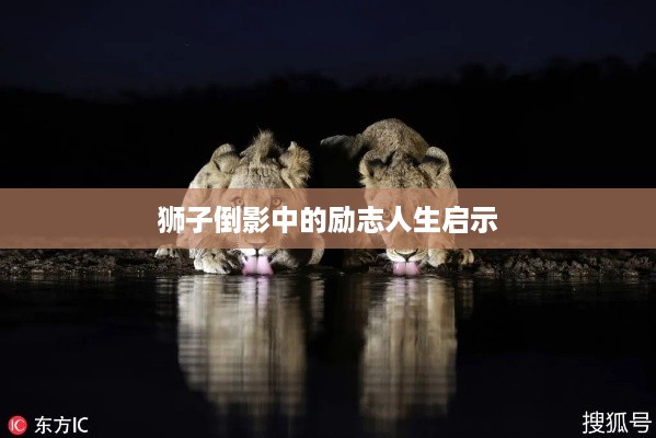 狮子倒影中的励志人生启示