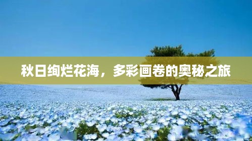 2025年6月10日 第4页