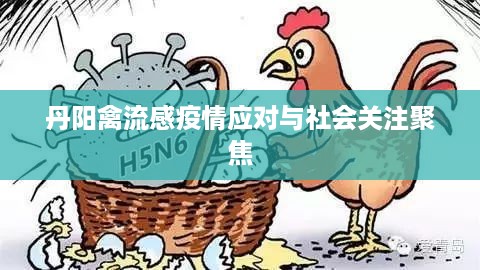 丹阳禽流感疫情应对与社会关注聚焦