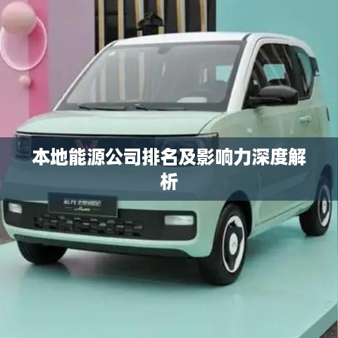 本地能源公司排名及影响力深度解析