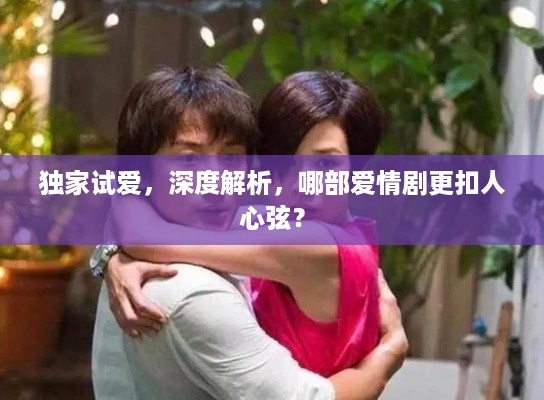 独家试爱，深度解析，哪部爱情剧更扣人心弦？