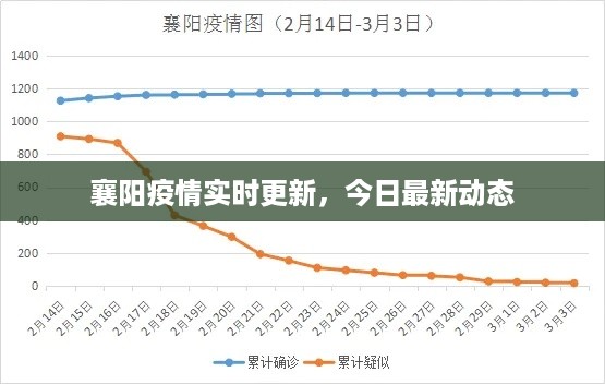 2025年6月12日 第3页