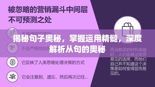 揭秘句子奥秘，掌握运用精髓，深度解析从句的奥秘