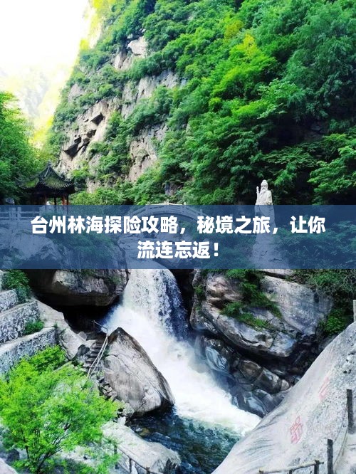 台州林海探险攻略，秘境之旅，让你流连忘返！
