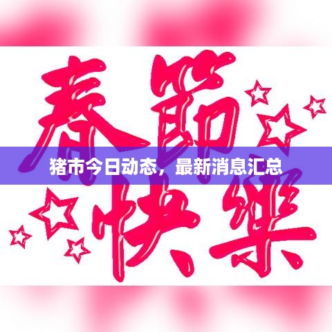 猪市今日动态，最新消息汇总