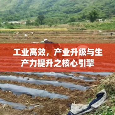 工业高效，产业升级与生产力提升之核心引擎