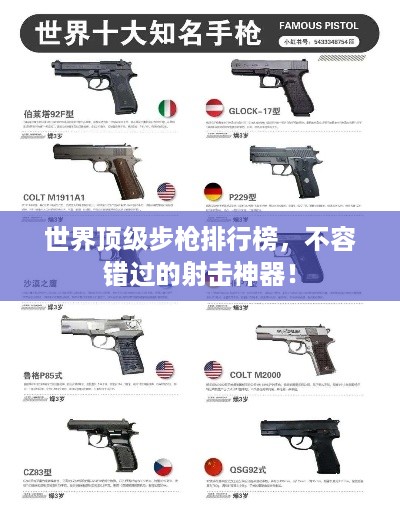 世界顶级步枪排行榜，不容错过的射击神器！
