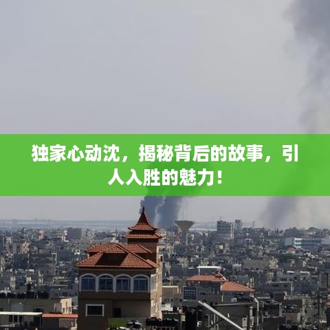 独家心动沈，揭秘背后的故事，引人入胜的魅力！