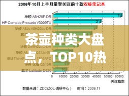 茶壶种类大盘点，TOP10热门水平排名榜单揭晓！