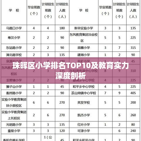 珠晖区小学排名TOP10及教育实力深度剖析