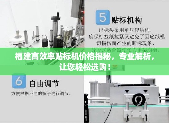 福建高效率贴标机价格揭秘，专业解析，让您轻松选购！