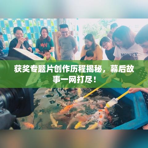 获奖专题片创作历程揭秘，幕后故事一网打尽！