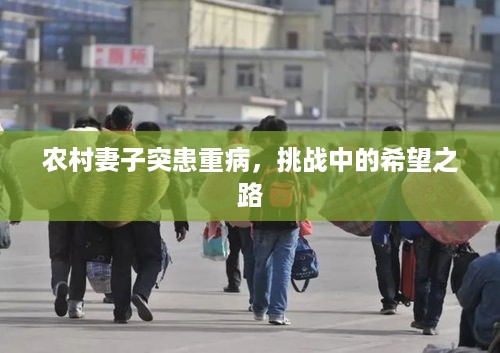 农村妻子突患重病，挑战中的希望之路