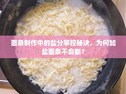 面条制作中的盐分掌控秘诀，为何加盐面条不会断？
