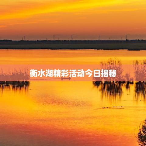 衡水湖精彩活动今日揭秘
