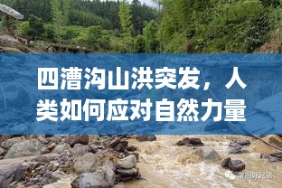 四漕沟山洪突发，人类如何应对自然力量的挑战？