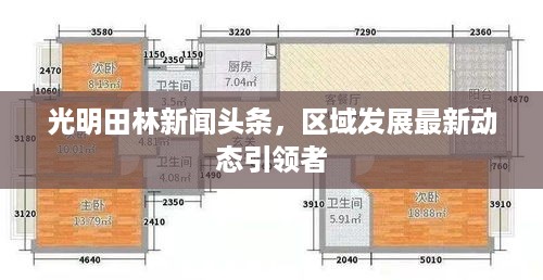 光明田林新闻头条，区域发展最新动态引领者