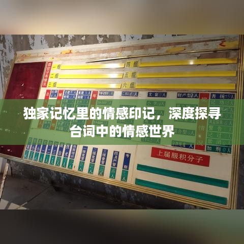 独家记忆里的情感印记，深度探寻台词中的情感世界