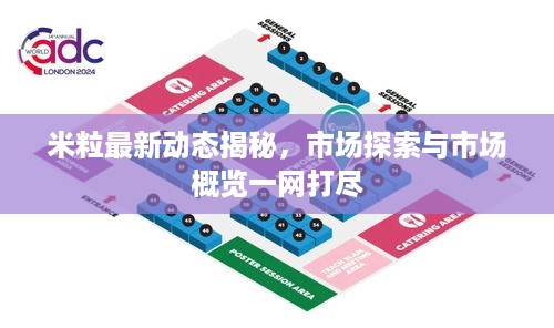 米粒最新动态揭秘，市场探索与市场概览一网打尽